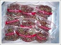 Quality Crimson Seedless Grape (JNFT-040) wholesale