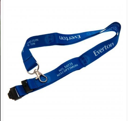 Quality Eco friendly Logo Printed Lanyard With Detachable Key Ring 900X25mm wholesale