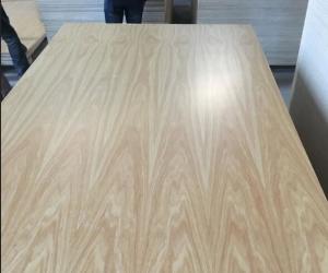 Quality Non Pollution UV Coated Plywood 1220x2440mm / Size FSC Certification HODA wholesale