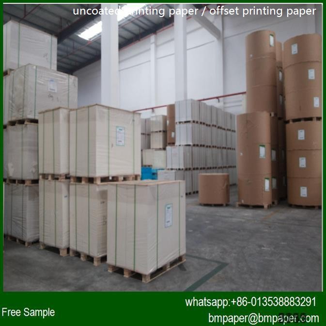 Quality 60-120g Bulky Book Paper / Book Paper / Cream Bulky Paper wholesale
