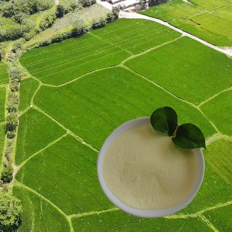 Quality OMRI list soy protein hydrolysate amino acid nitrogen16 Amino Acid Powder 85% Agriculture wholesale