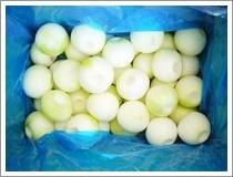 Quality Peeled Yellow Onion (JNFT-011) wholesale