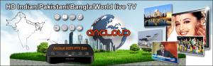 Quality HD INDIA / PAKISTANI /  BANGLA LIVE TV  IPTV BOX ANCLOUD BOX wholesale