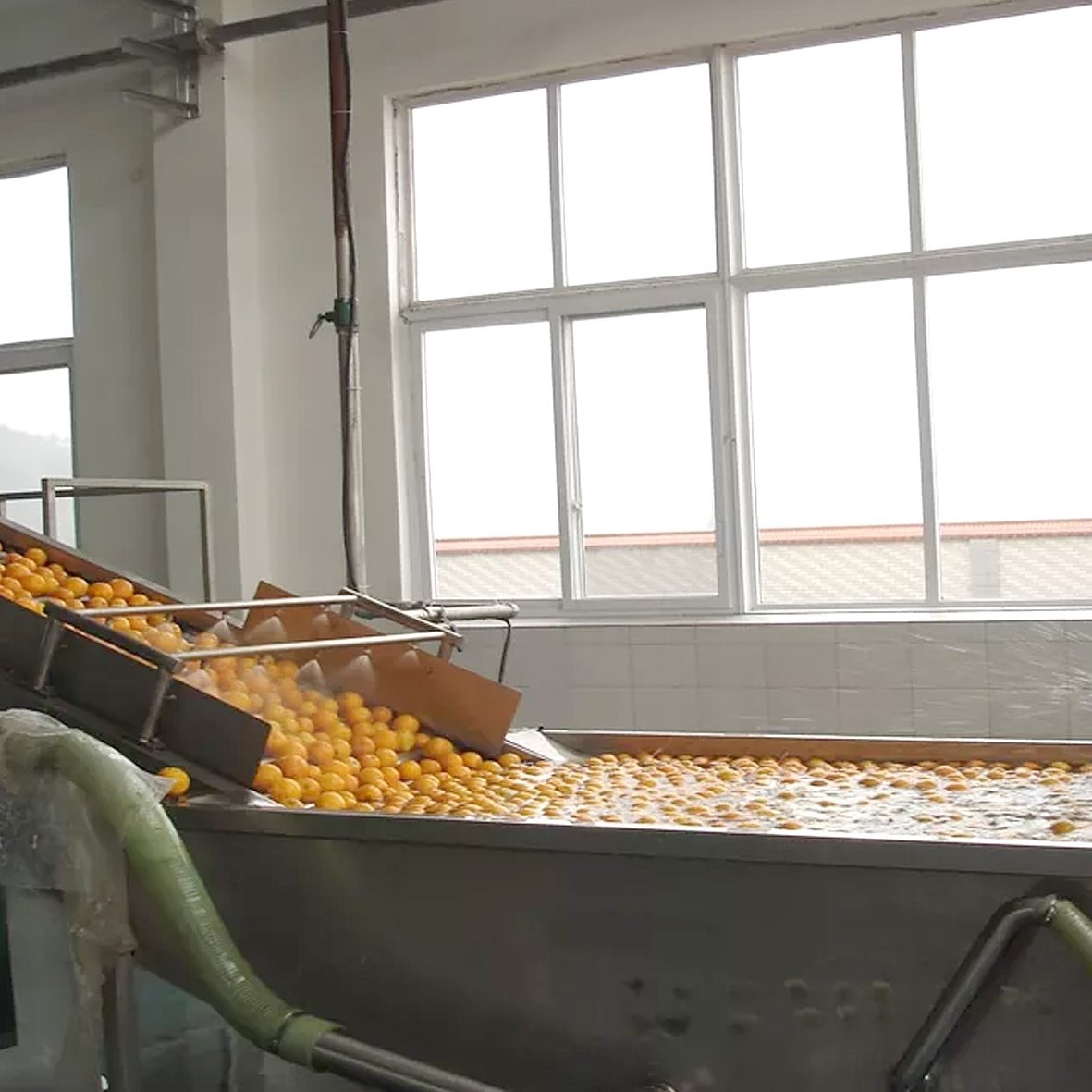 Quality SUS304 Industrial Orange Processing Line Fruit Bubble Washing Machine 6KW wholesale