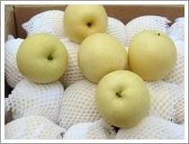 Quality Golden Pear (JNFT-035) wholesale
