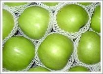 Quality Green Apple wholesale