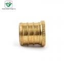 Lead Free Brass Pex Barb Fitting 1 Inch Water Pipe End Plug for sale