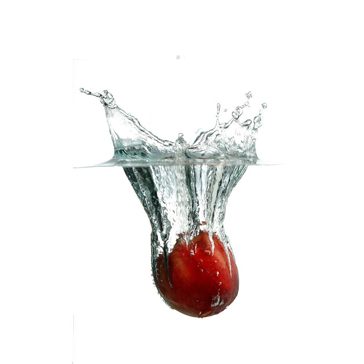 Quality 220V Bubble Tomato Washing Machine For Vegetable Fruit Processing wholesale