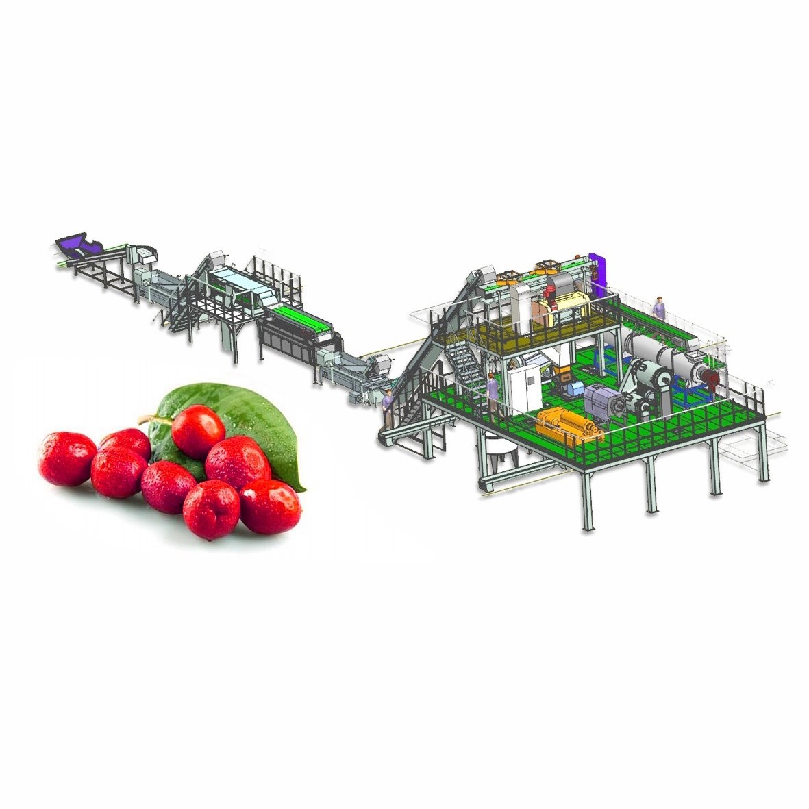 Quality Automatic Fruit Juice Processing Line For Date Juice Making 380V wholesale