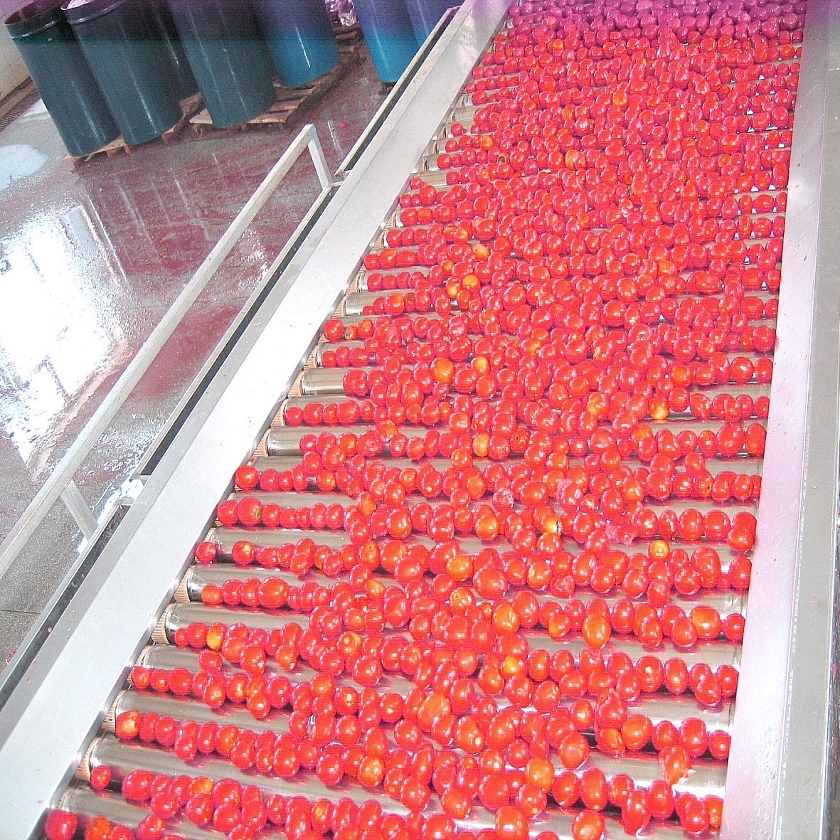 Quality Automatic Concentrated Tomato Paste Production Line SUS304 380V 50Hz wholesale