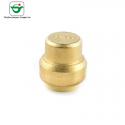 1/2" 3/4" 1" Forged Brass Plugs Fittings Push Fit Fitting for sale