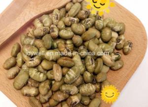 Quality Vegan Pure Natural No Additive Sea Salt Flavor Roasted Green Beans Edamame wholesale