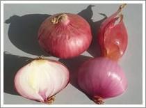 Quality Red Onion (JNFT-014) wholesale