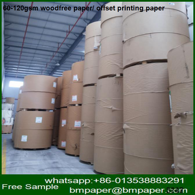 Quality Best Price Custom Made Cylinder Paper Duplex Board / Offset Printing Paper Sizes wholesale