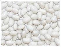 Quality White Kidney Bean (JNFT-063) wholesale