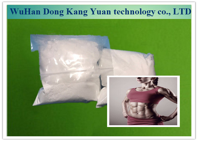 Quality Androgenic Steroid Testosterone Undecanoate Powder 5949-44-0 For Increase Strength wholesale