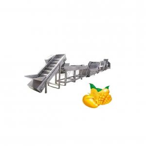 Quality 50T/H Industrial Mango Processing Line Automatic Mango Processing Plant Equipment wholesale