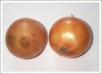 Quality Yellow Onion (JNFT-012) wholesale