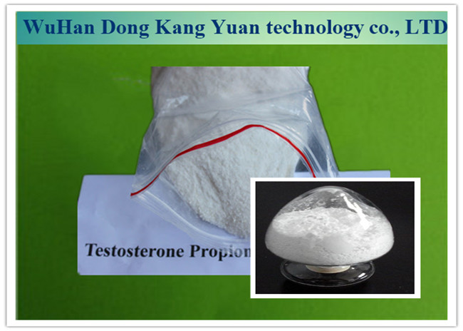 Quality 1045-69-8 Steroid Hormone Powder Testosterone Acetate Powder For Male Get Muscle wholesale