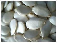 Quality Snow White Pumpkin Seeds (JNFT-068) wholesale
