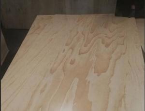 Quality 2 Sides / 1 Side UV Coated Plywood Radiata Pine Face And Back Eco Friendly wholesale