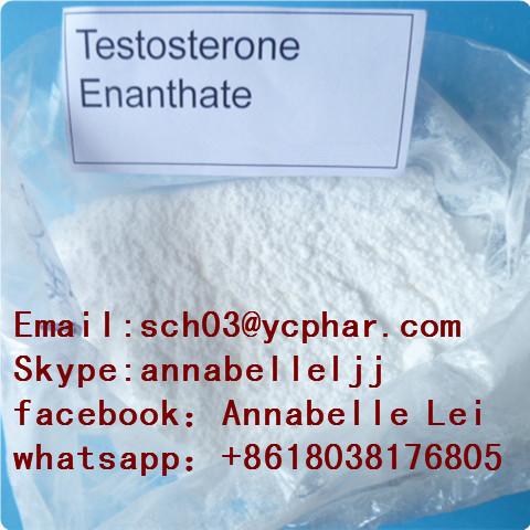 Testosterone propionate raw