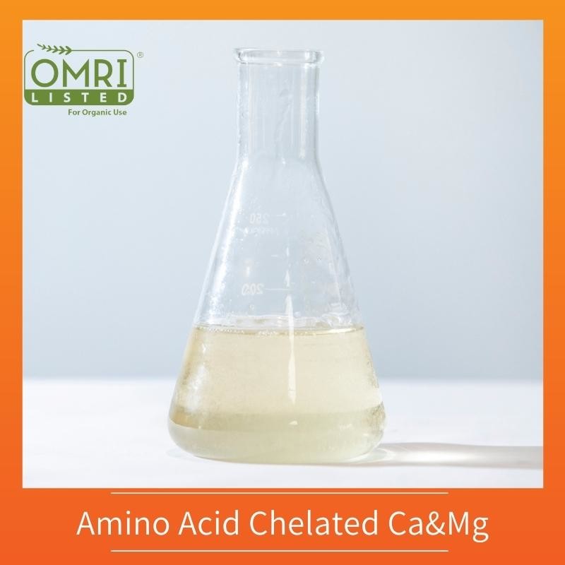 Quality Amino Acid Chelated Ca&Mg Organic Liquid L-Amino Acid For Plants wholesale