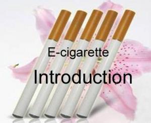 Quality E-Cigarette (DSE102) wholesale