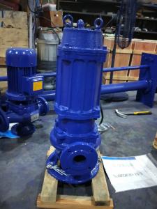 Quality Durable Cast Iron Sewage Pump Drainage Schools Auto Coupling Installation wholesale