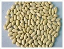 Quality Blanched Peanuts (JNFT-062) wholesale