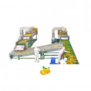 Quality Mango Processing Equipment Mango Juice Processing Plant , Mango Juice Extractor Machine wholesale
