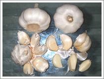 Quality Pure White Garlic (JNFT-005) wholesale