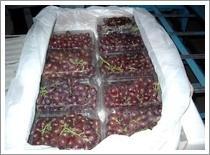 Quality Flame Seedless Grape (JNFT-039) wholesale