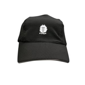 Quality Unisex Dryfit Adjustable Golf Hats With Mesh Decoration Plain Pattern wholesale