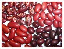 Quality Red Kidney Bean (JNFT-061) wholesale