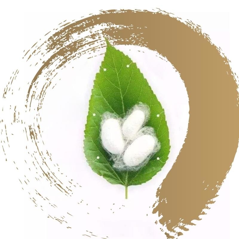 Quality PH5~7 Nature Silk Amino Acid Silk Fibroin White Pure Amino Acid Powder For Cosmetics wholesale