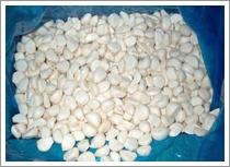 Quality IQF Peeled Garlic (JNFT-056) wholesale