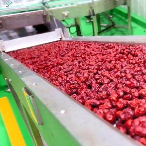 Quality Chinese Date Fruit Juice Processing Line , ISO9001 Fruit Pulp Processing Plant wholesale