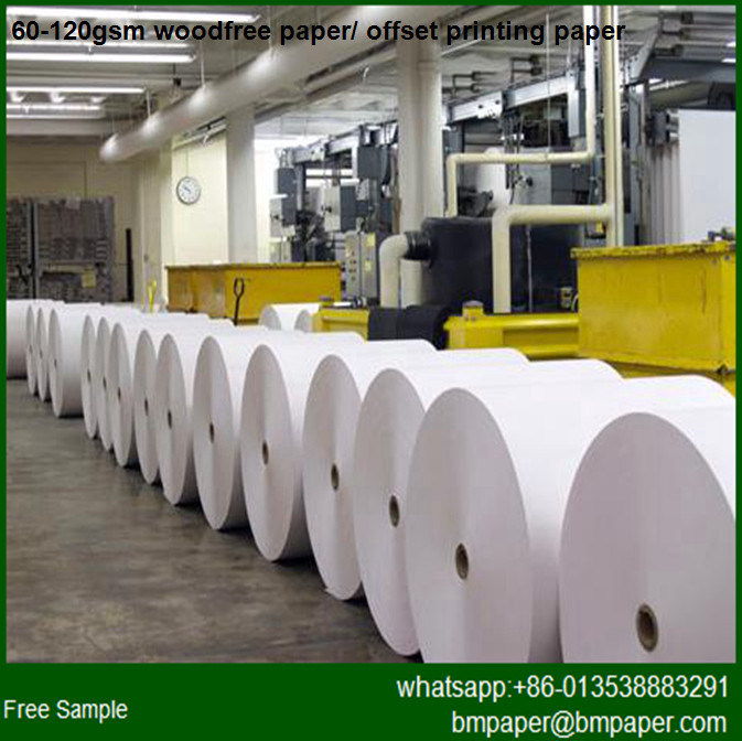 Quality Offset Printing Paper Roll 100g wholesale