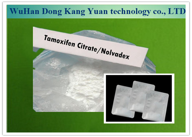 Quality 99% Purity Tamoxifen Citrate / Nolvadex Powder CAS 54965-24-1 For Anti Estrogen wholesale