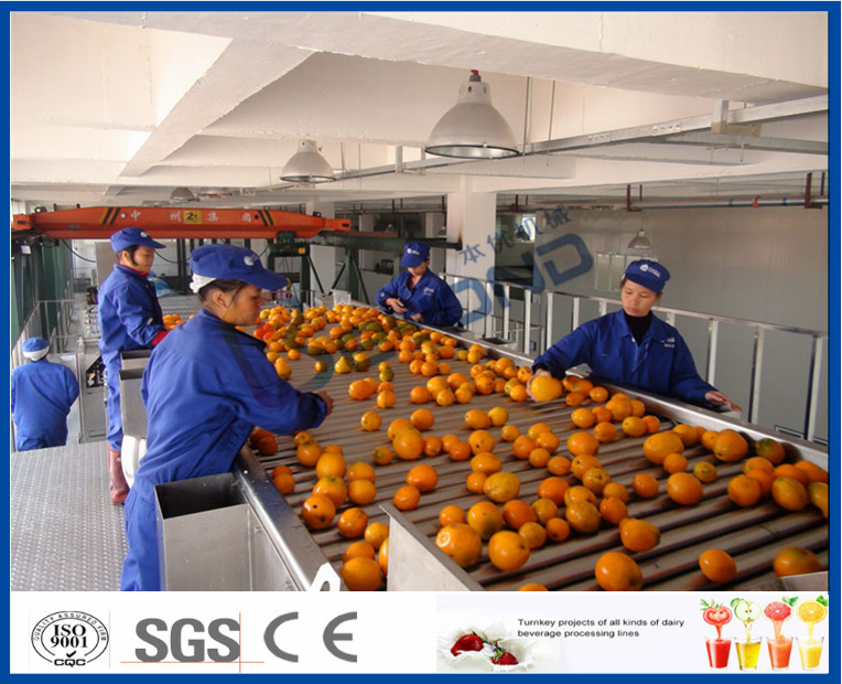 Quality Fruit Juice Processing Equipment With Citrus / Tangerines / Orange Juice Extractor Machine wholesale