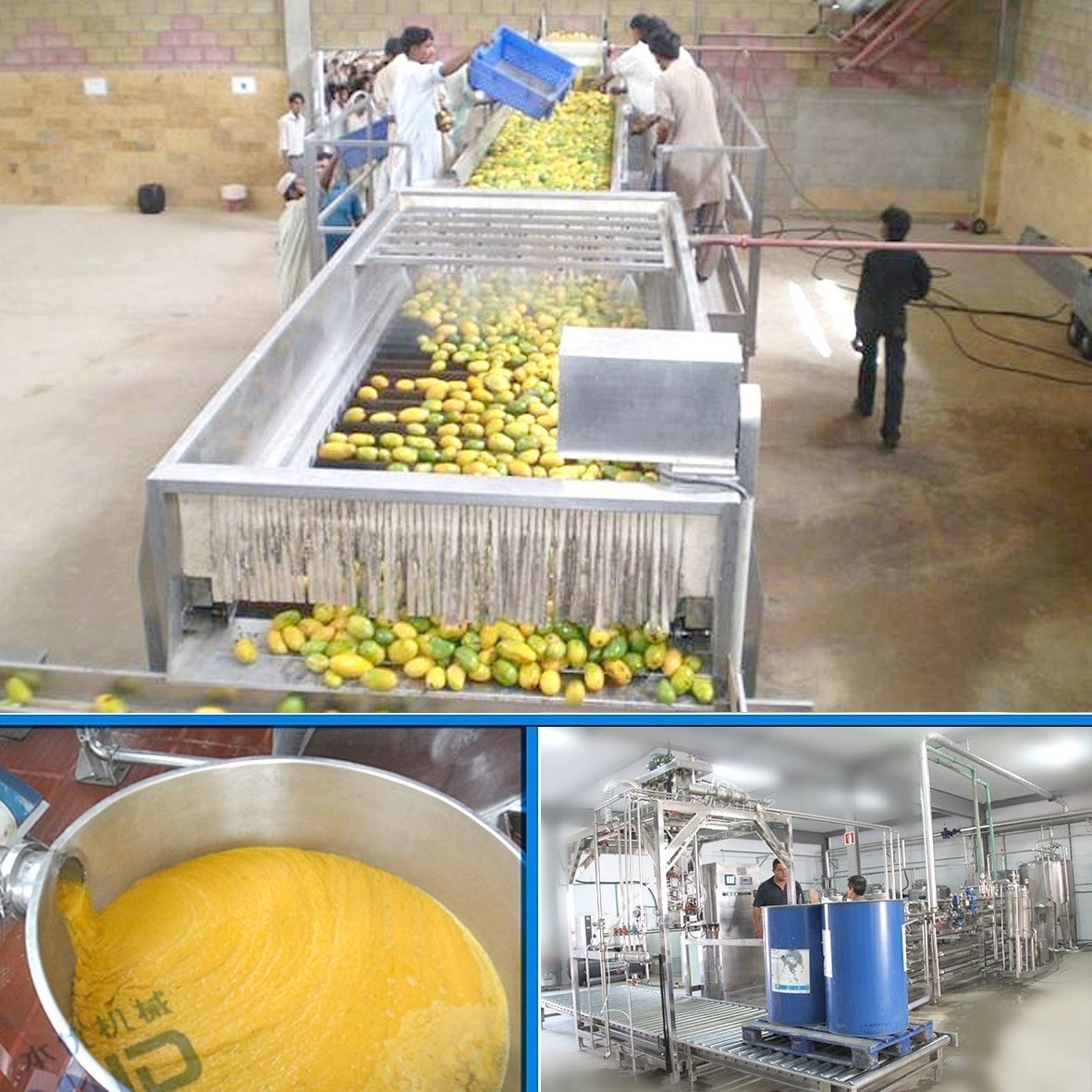 Quality 380V Automatic Mango Juice Processing Machine Industrial Fruit Juice Making Machine wholesale