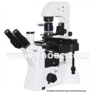 China Infinity  Trinocular Inverted Phase Contrast Microscope DIC Bright Field  A19.0204 on sale