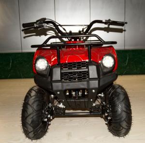 Quality 49cc New Model small ATV,2-stroke.air-cooled.hot sale models in Eurpoe.good quality. wholesale
