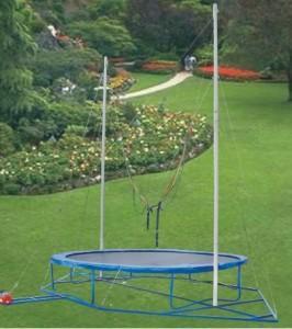 Quality Bungee Trampoline for Single Person Jumping Trampoline (FL---22B) wholesale