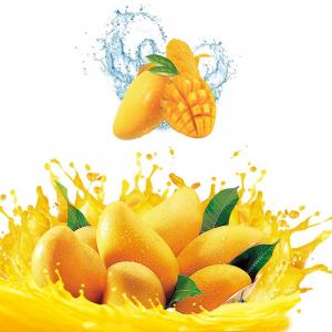 Quality SUS304 Automatic Mango Washing Machine For Fruit Cleaning wholesale