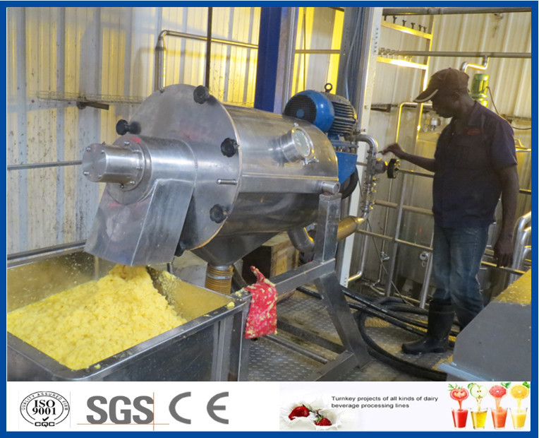 Quality Fruit Juice Double Stage 10TPH Mango Processing Line wholesale
