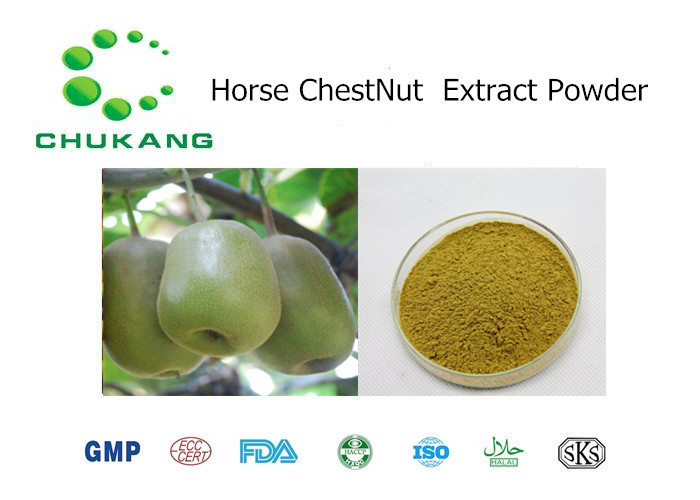 Quality Natural Plant Extract Powder Horse Chest Nut P.E. Horse Chest Nut Extract Natural Herb Powder wholesale