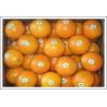 Buy cheap Navel Orange (JNFT-024) from wholesalers