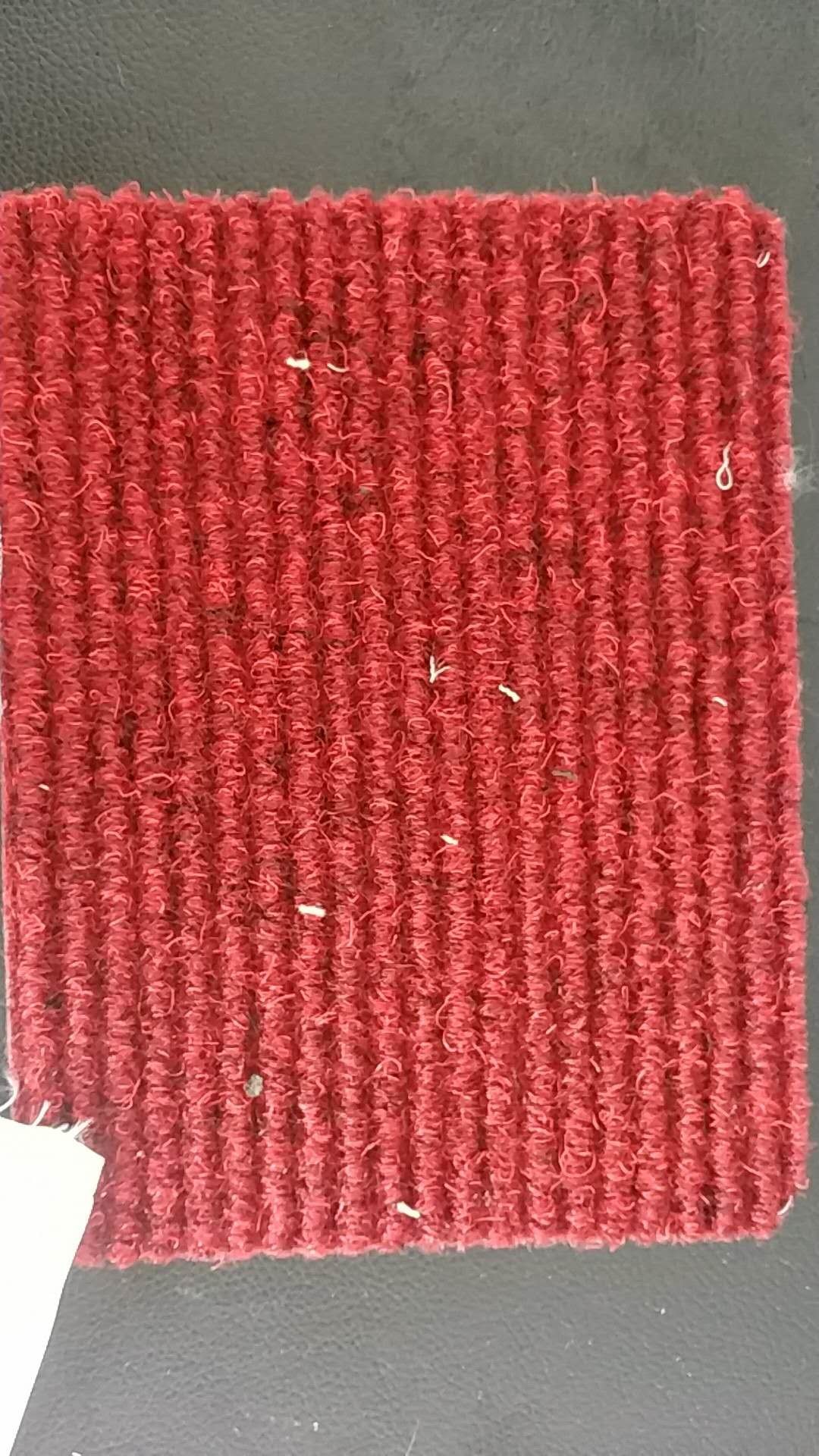 Quality Aluminum carpet hotel entrance mat Dust mat wholesale